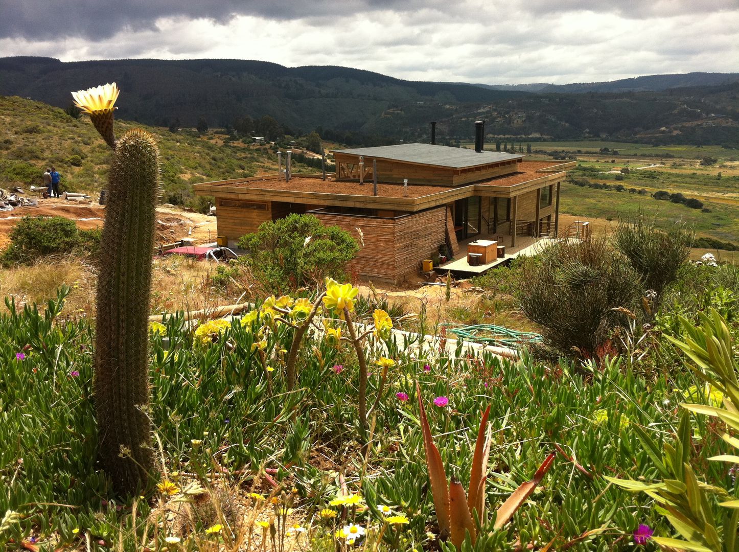 CASA TUNQUEN, BLAC arquitectos BLAC arquitectos บ้านและที่อยู่อาศัย ไม้ Wood effect