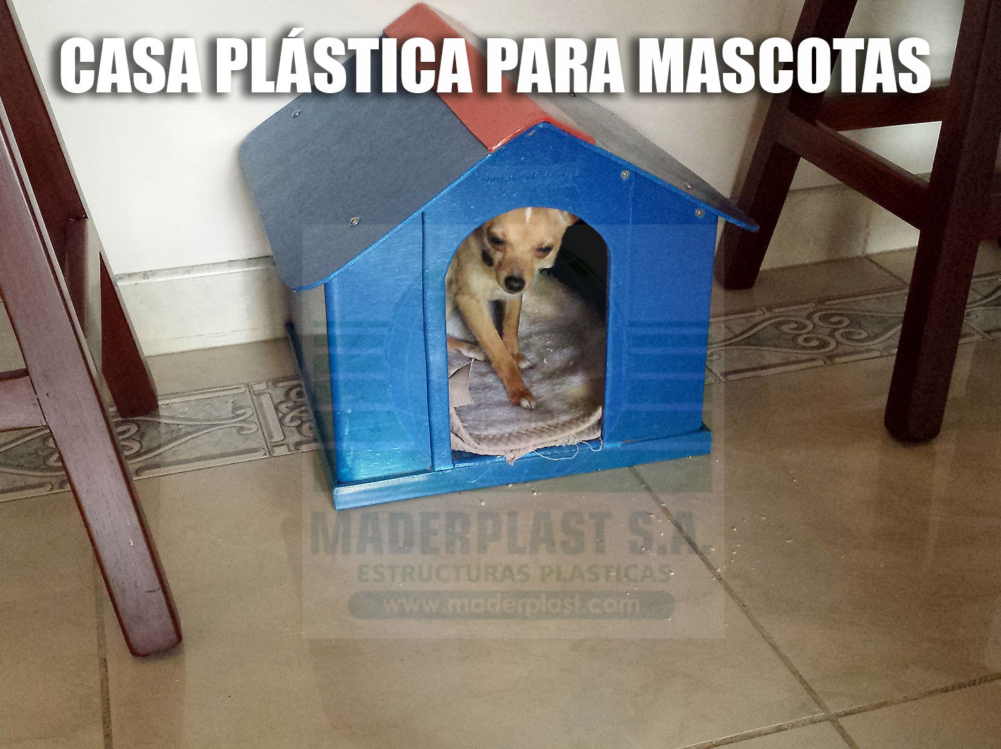 Casas plásticas para mascotas homify Jardines de estilo moderno Plástico Accesorios y decoración