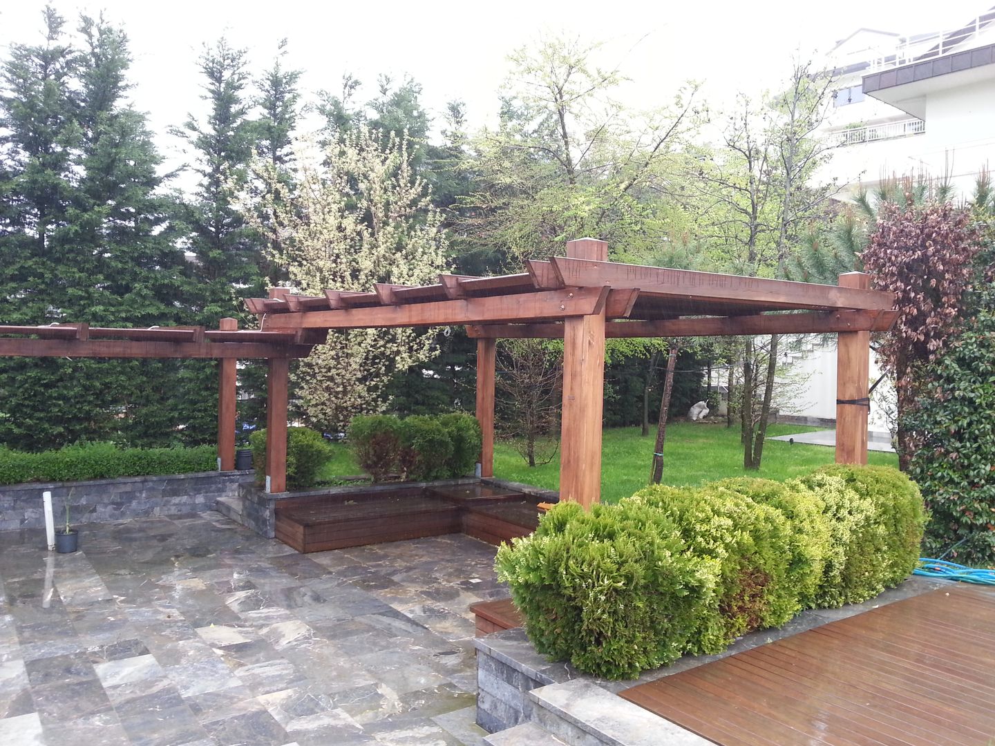 abelia 2016, abelia peyzaj abelia peyzaj Jardines de estilo moderno