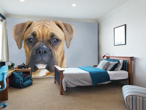 Boxer Dog Wallpaper homify غرفة الاطفال wallpaper,wall,wall sticker