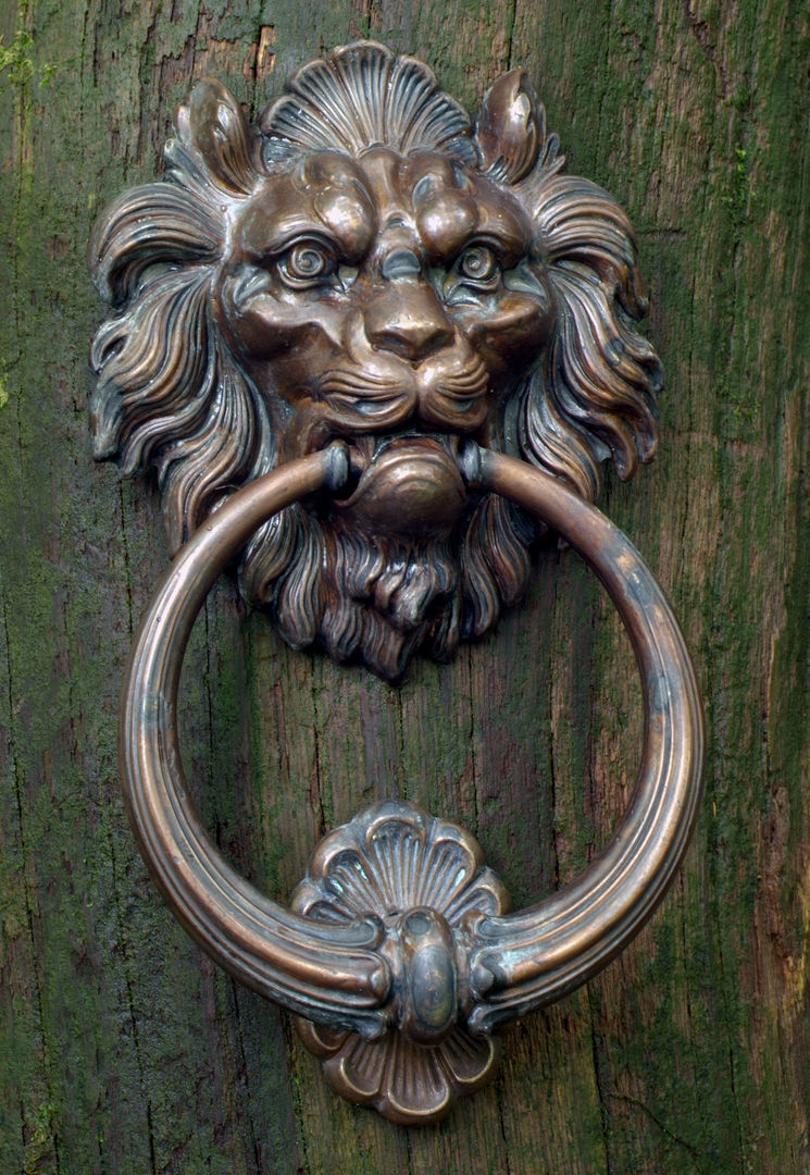 Lion Head Door Knocker Clayton Munroe Puertas eclécticas Cobre/Bronce/Latón Pomos y accesorios