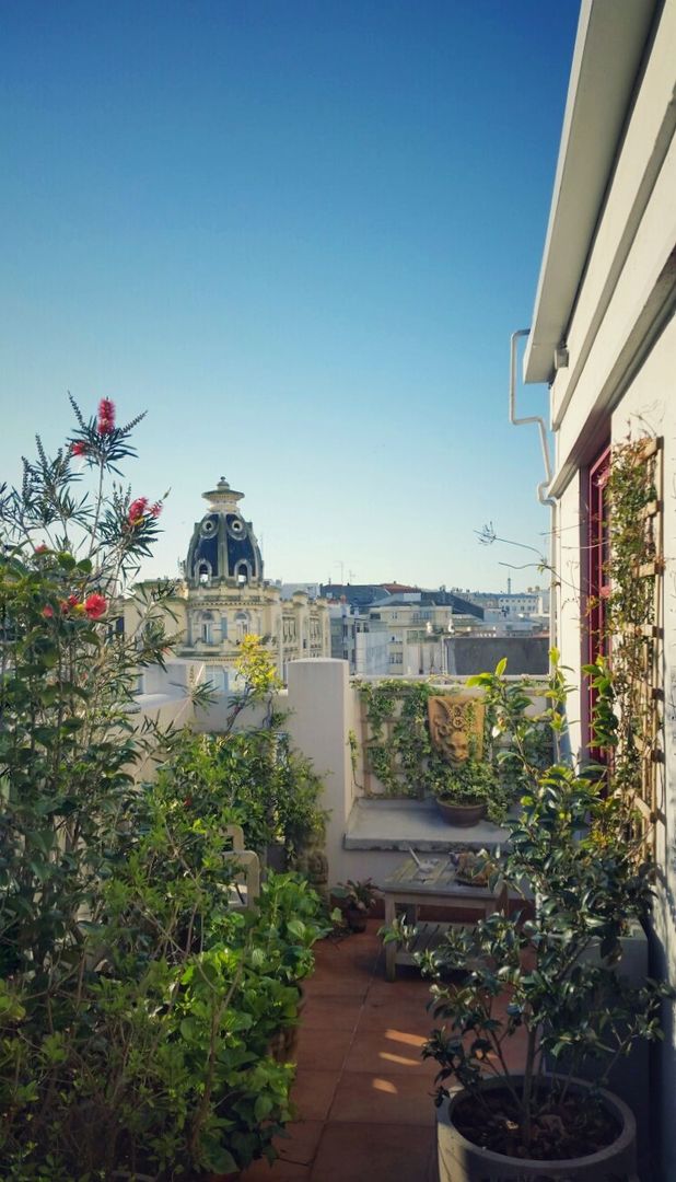 Un jardín frondoso en un ático de ciudad, albion985 albion985 Balcones y terrazas de estilo clásico