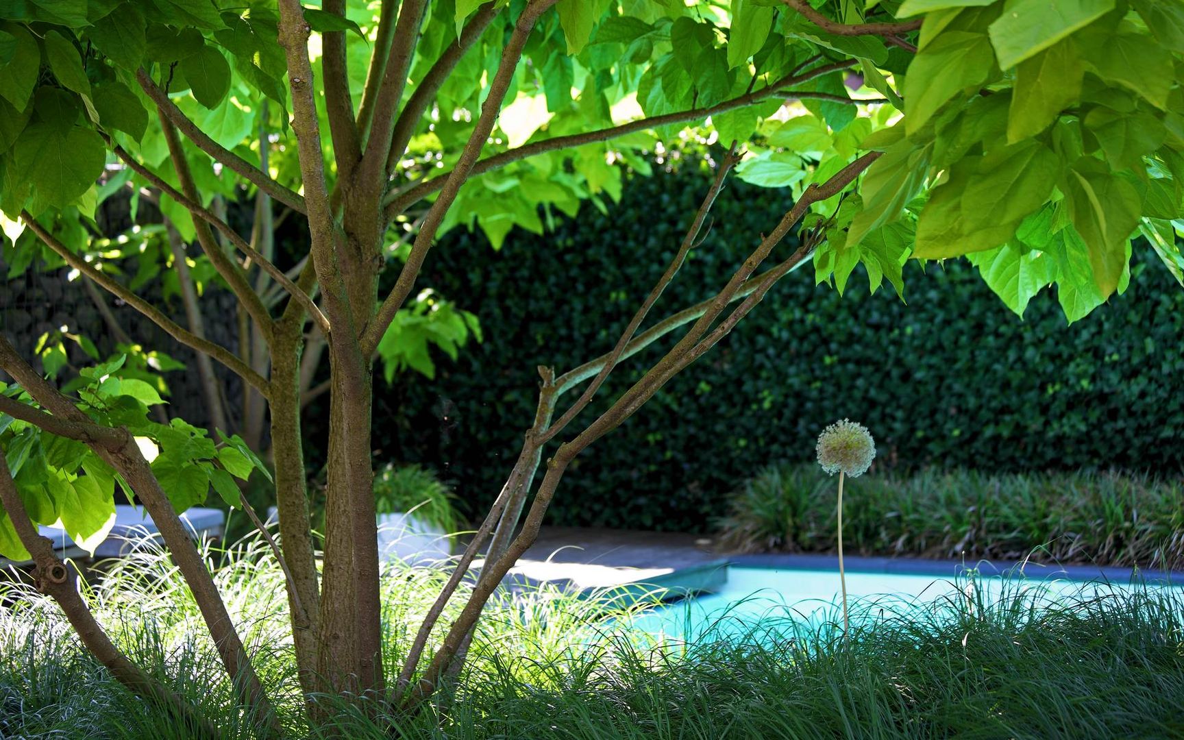 Moderne tuinarchitectuur in luxe tuin, Sparq Tuinen Sparq Tuinen Modern garden