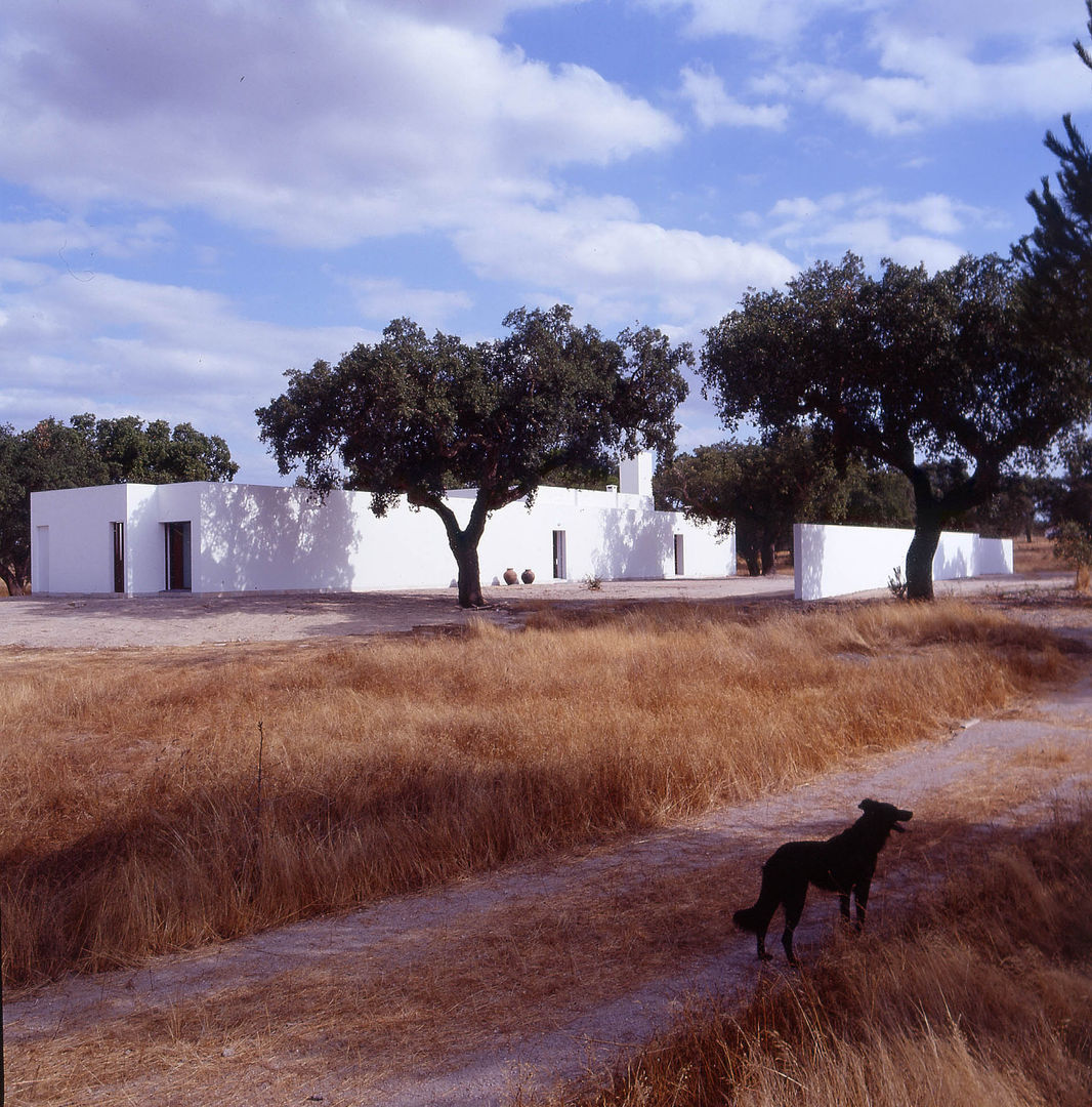 House in Pavia, Pedro Mendes Arquitectos Pedro Mendes Arquitectos Śródziemnomorskie domy