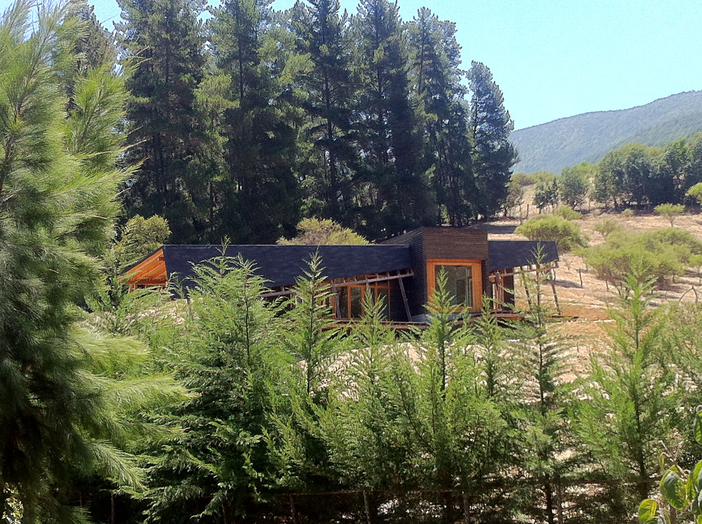 CABAÑA OLMUÉ - PIE DE CERRO LA CAMPANA, Alejandra Corral - Arquitectura Alejandra Corral - Arquitectura 모던스타일 주택 우드 우드 그레인