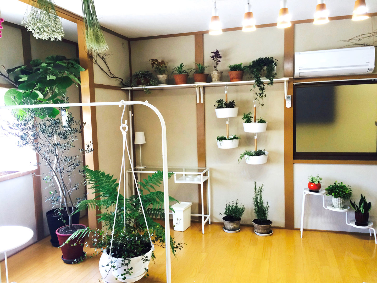 Sofil, ミドリカフェ ミドリカフェ Taman interior Interior landscaping