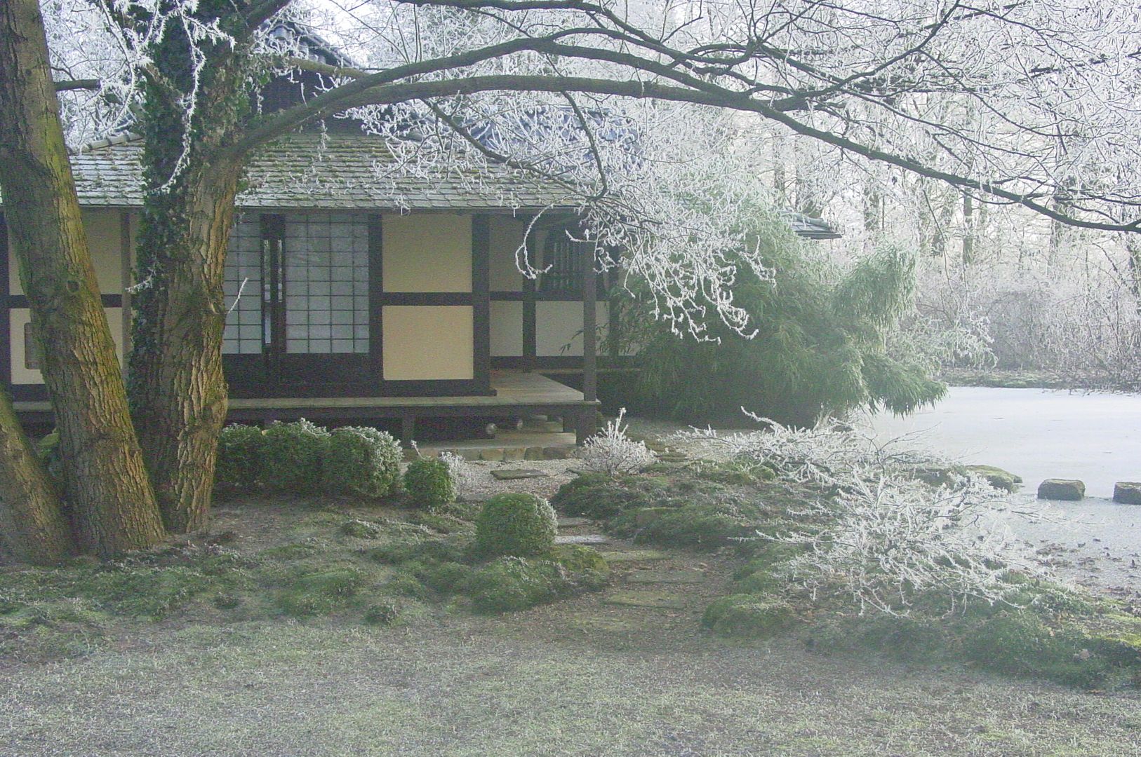 japanische Gärten im Winter, japan-garten-kultur japan-garten-kultur مساحات تجارية صالة مناسبات