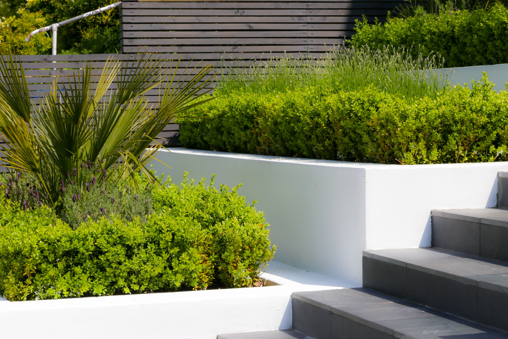 HOUSE FRONTAGE DESIGN, Concept Landscape Architects Concept Landscape Architects