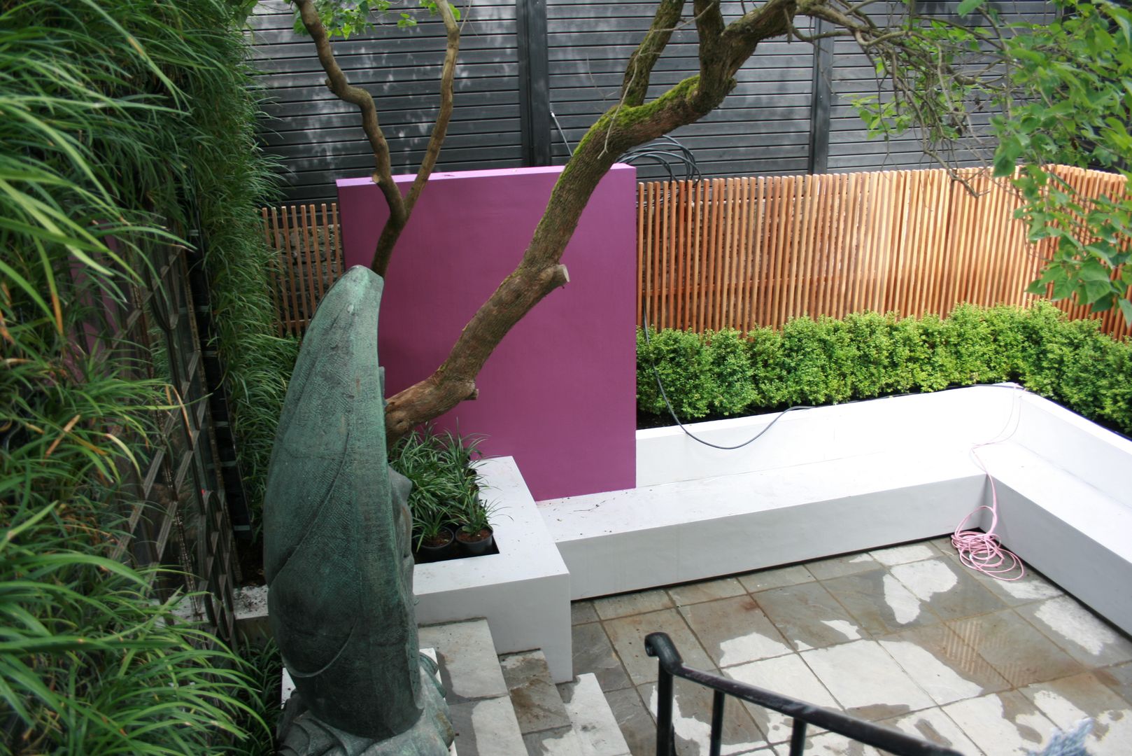 Bold Contemporary Chelsea Garden, GreenlinesDesign Ltd GreenlinesDesign Ltd حديقة