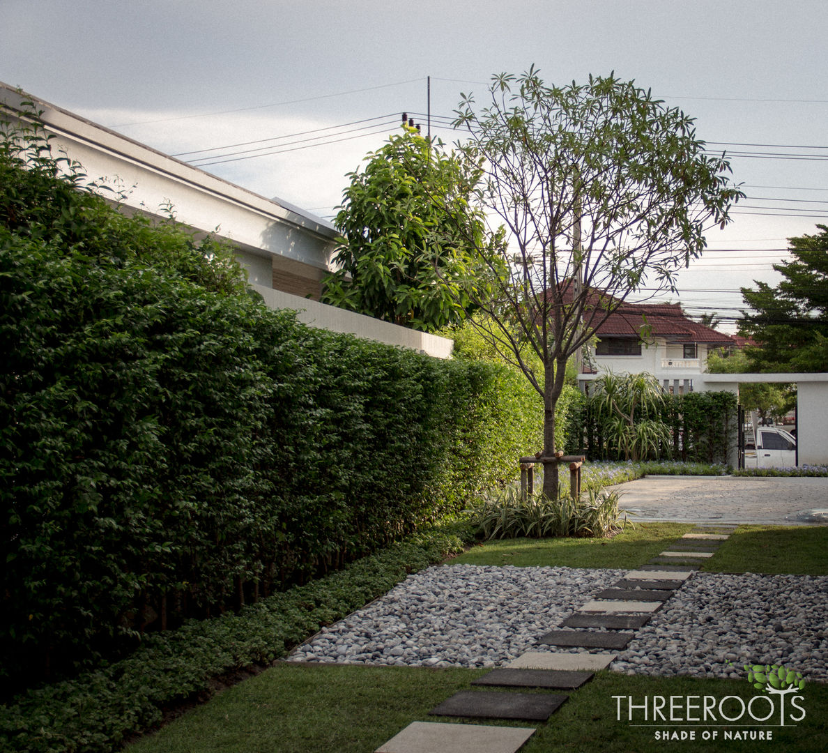 สวนคุณพาฝัน, Threeroots Group Co.,Ltd. Threeroots Group Co.,Ltd.