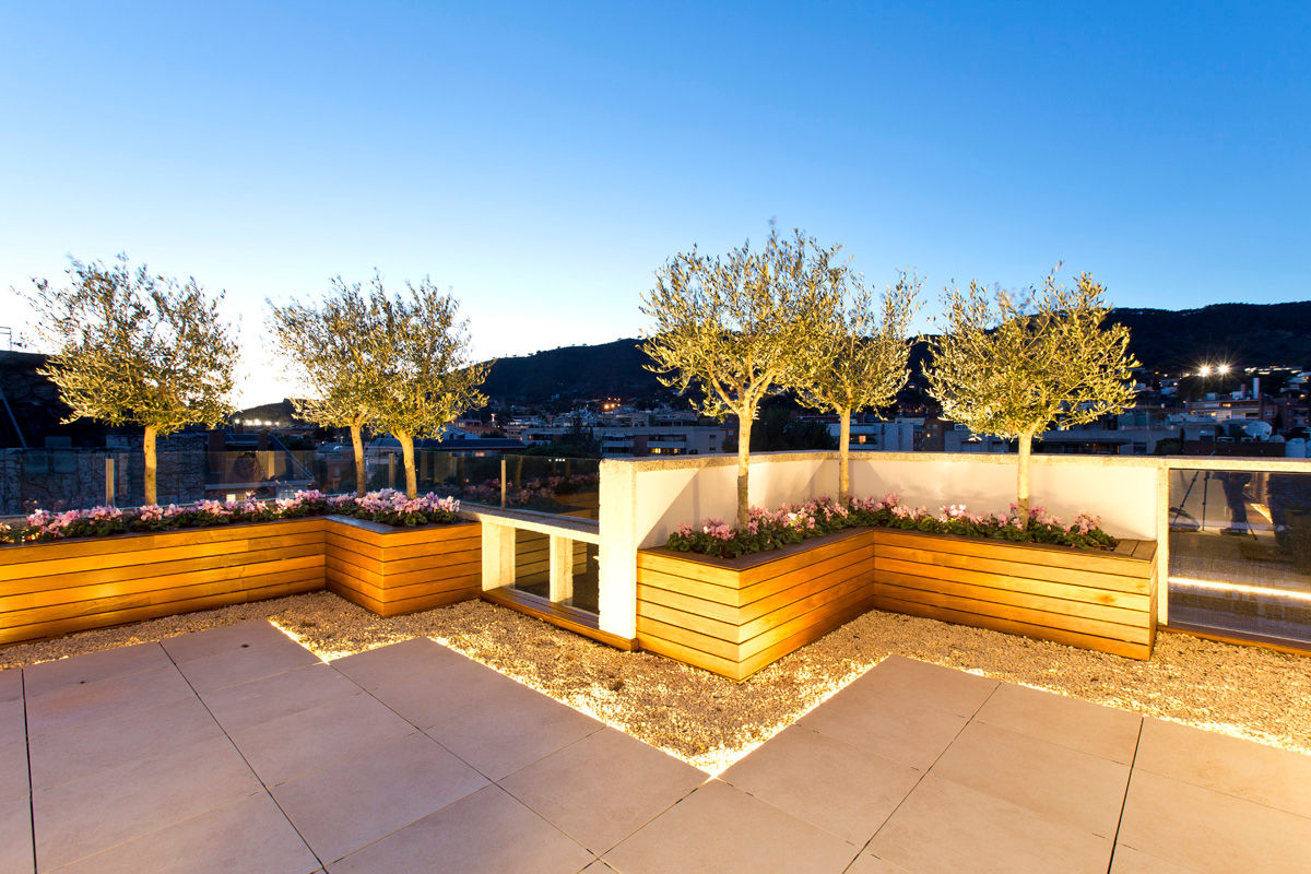 Terraza en Barcelona, Garden Center Conillas S.L Garden Center Conillas S.L Modern balcony, veranda & terrace Wood Wood effect