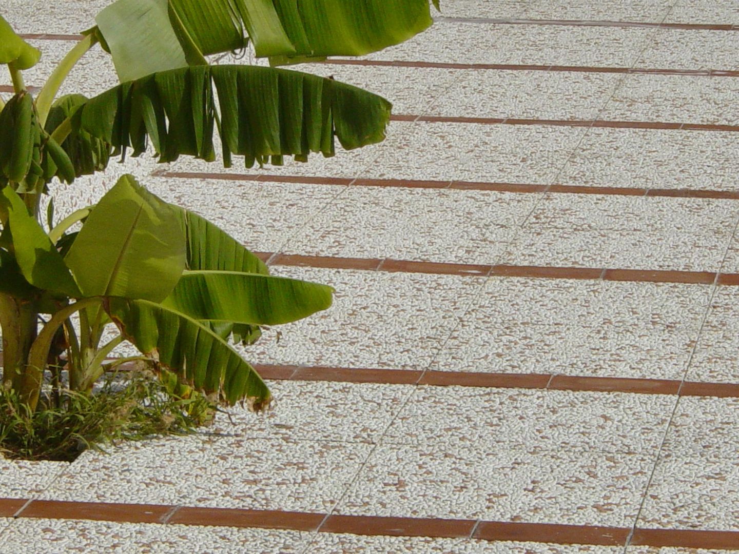 Pavimenti in ghiaia lavata per esterni, PAVIMENTI PIETRO BASILE SRL PAVIMENTI PIETRO BASILE SRL Rustic style gardens Concrete