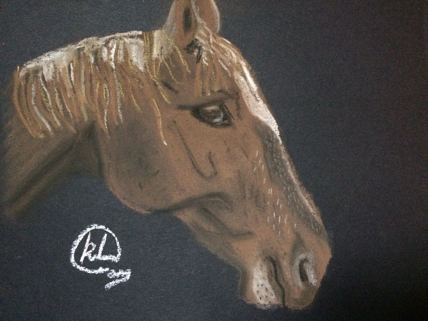 Horse pastel sketch KristinaArtist&Photography Otros espacios Cuadros y pinturas