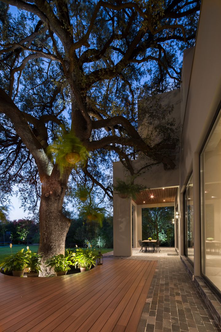 JARDIN Rousseau Arquitectos Jardines modernos jardin,camino de jardin,muro ventana,plantas de exterior,arbol en jardin