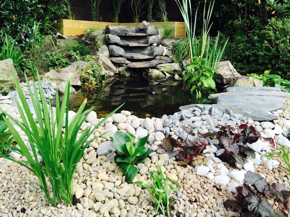 Water Feature Design, Garden Ninja Ltd Garden Ninja Ltd Jardines clásicos garden pond,water feature