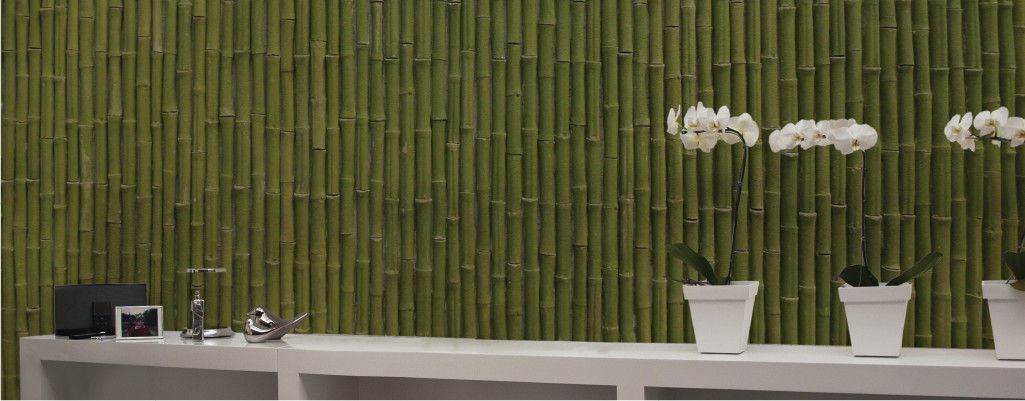 Piedra Bambú Decorativo Verde homify Paredes y pisos de estilo moderno Concreto reforzado Decoración para la pared