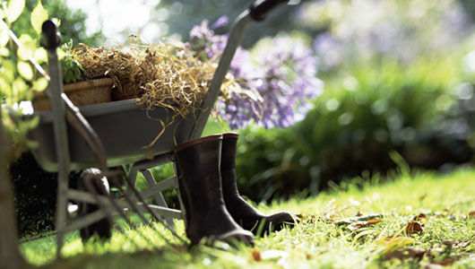 Garden Maintenance Liverpool, Gardeners Liverpool Gardeners Liverpool