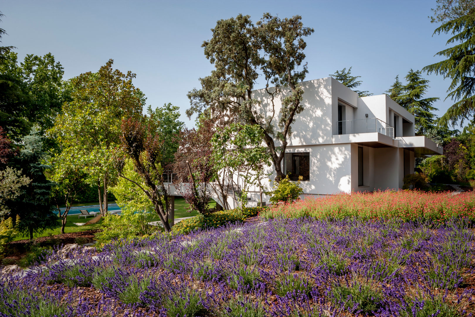 Reforma Integral en la urbanización de la Moraleja, ÁBATON ÁBATON Casas estilo moderno: ideas, arquitectura e imágenes