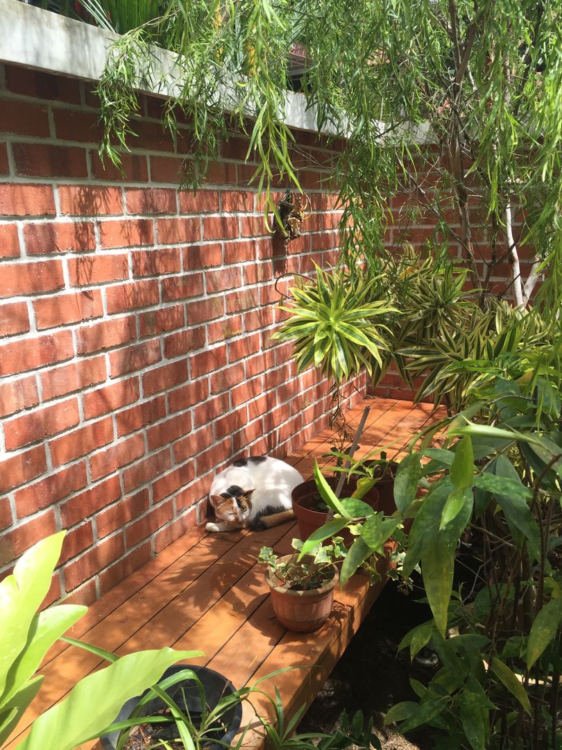 Terrace House at Robin Road, Quen Architects Quen Architects Asian style garden