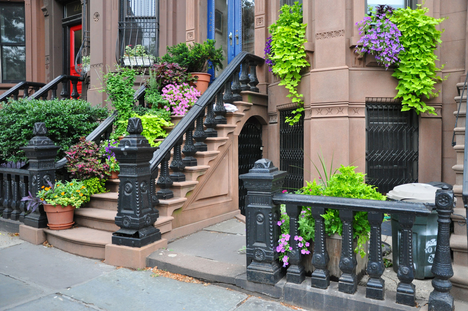 Urban Lifestyle Brooklyn New York Brownstone Entrance Steps with Summer Blooming Plants homify