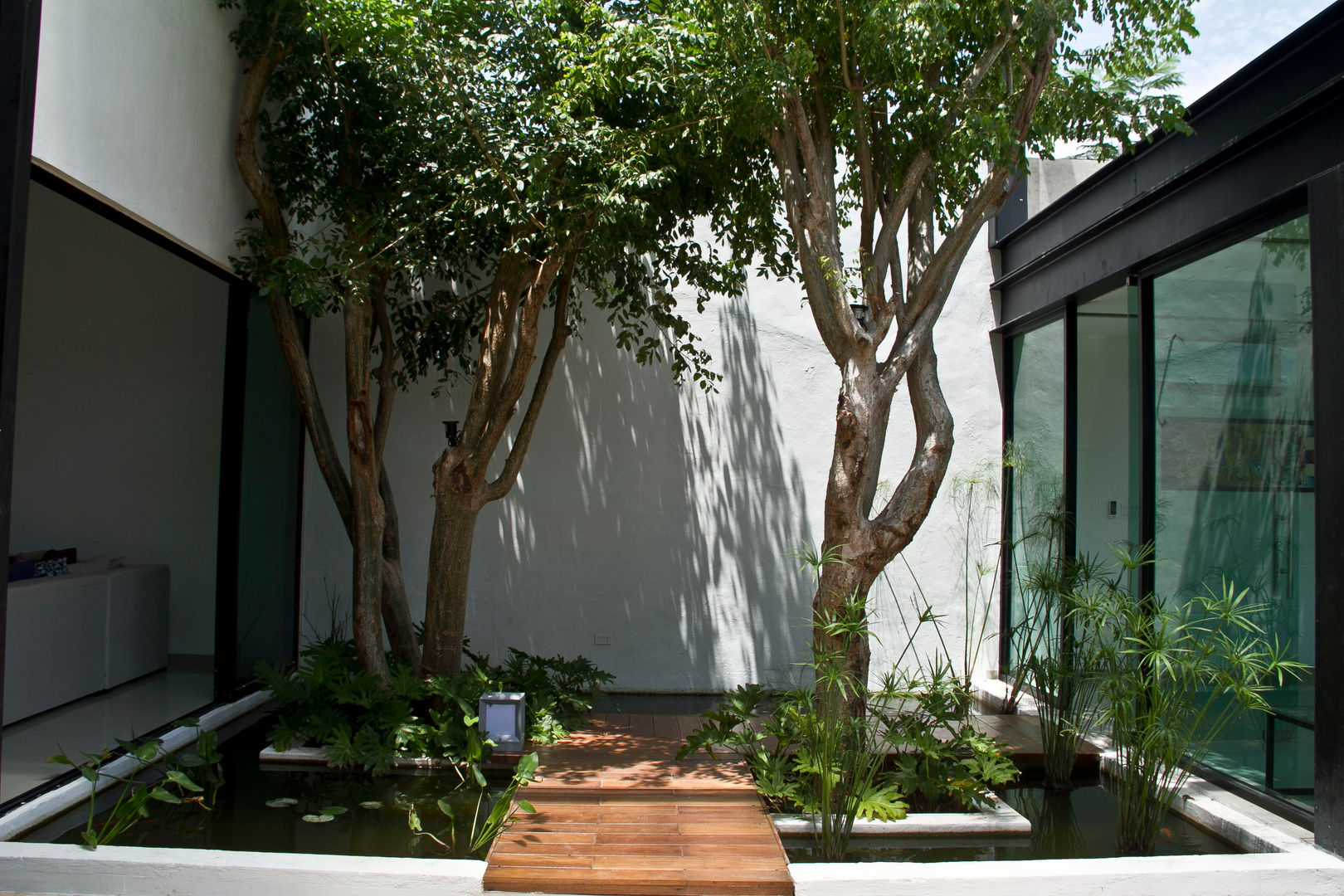 CASA DEL ARBOL, Vau Studio Vau Studio Modern Garden