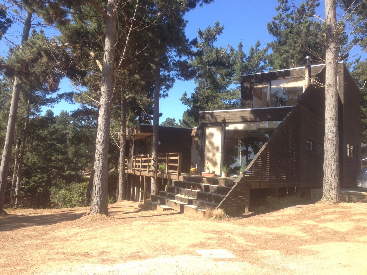 Casa del Bosque, Nido Arquitectos Nido Arquitectos منازل