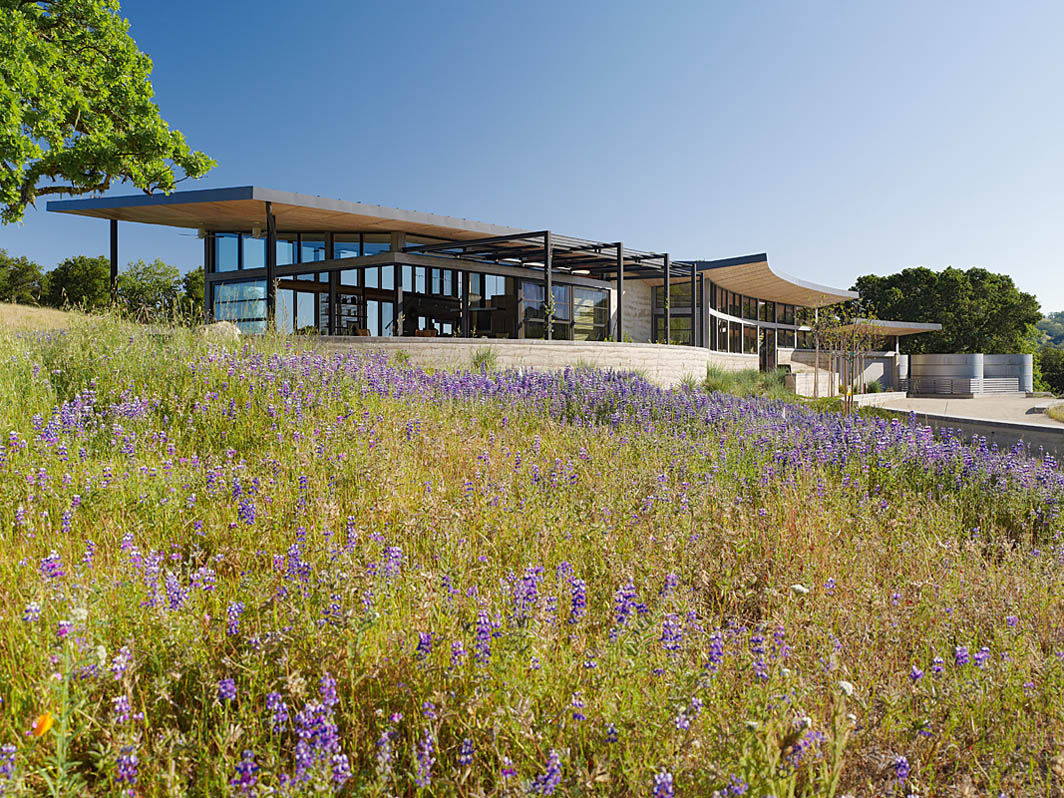 Caterpillar House, Feldman Architecture Feldman Architecture Modern Houses