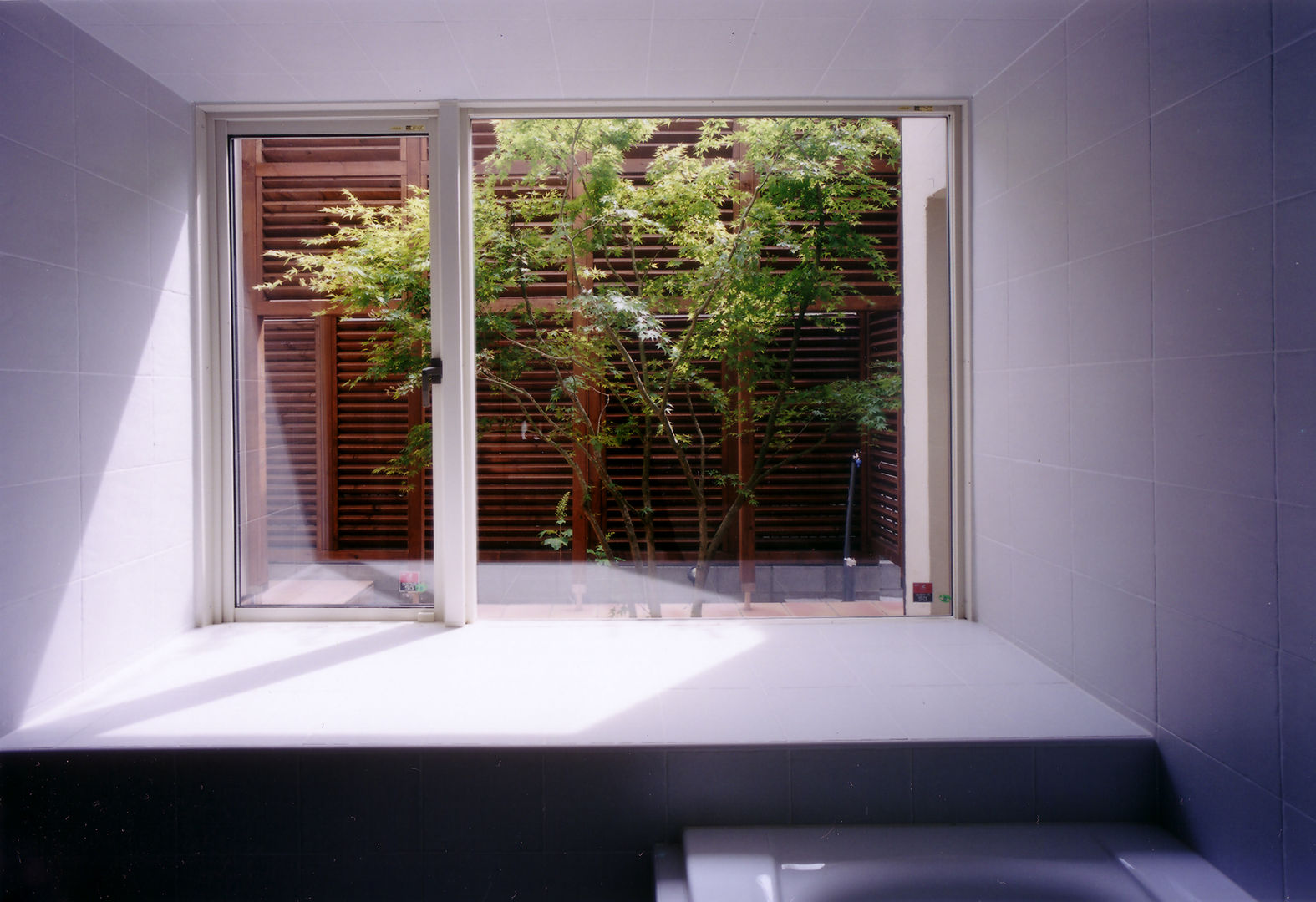 バスルームからパティオを見る 豊田空間デザイン室 一級建築士事務所 モダンスタイルの お風呂