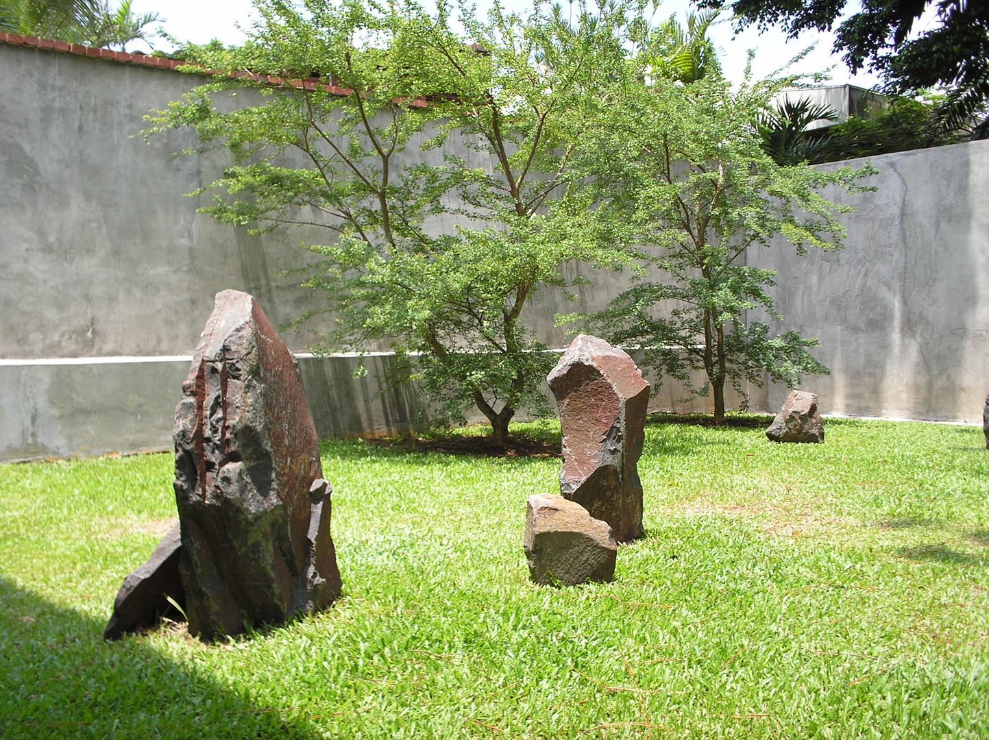 PRIVATE RESIDENCE - PANAMA CITY, TARTE LANDSCAPES TARTE LANDSCAPES Minimalist style garden