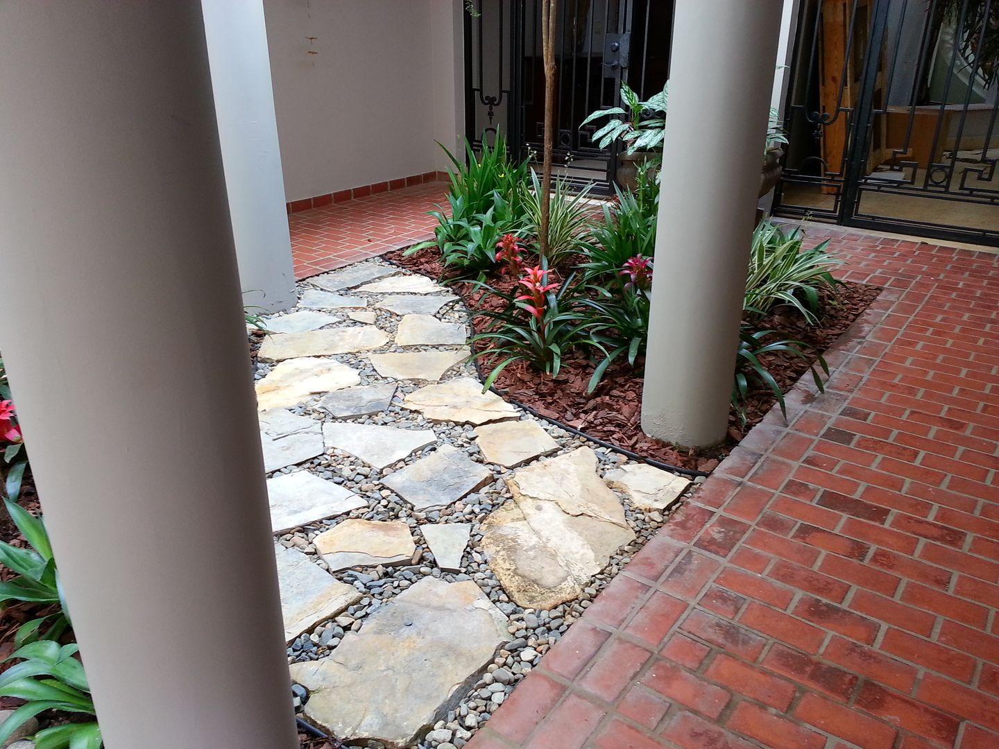 PRIVATE RESIDENCE - PANAMA CITY, TARTE LANDSCAPES TARTE LANDSCAPES Сад в стиле модерн