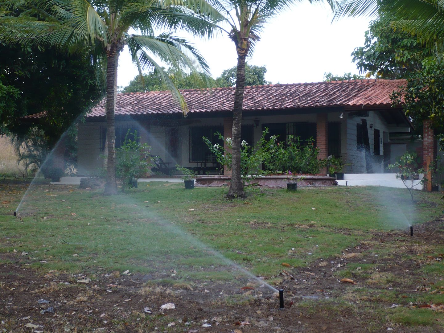 IRRIGATION SYSTEMS, TARTE LANDSCAPES TARTE LANDSCAPES Tropical style gardens