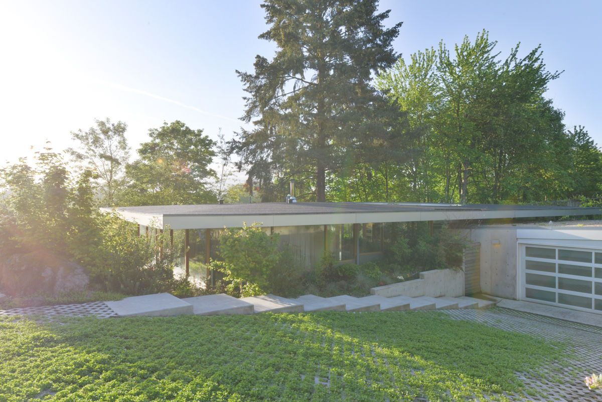 Courtyard House, NO Architecture NO Architecture 庭院