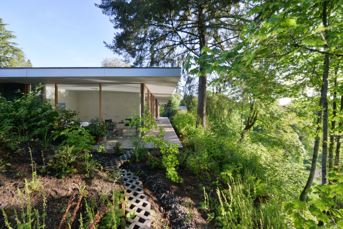 Courtyard House, NO Architecture NO Architecture Eclectic style garden