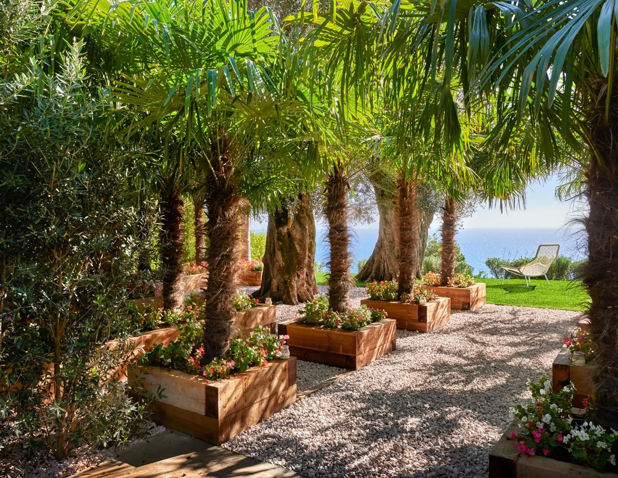 Casa Sant Feliu de Guíxols, SOLER-MORATO ARQUITECTES SLP SOLER-MORATO ARQUITECTES SLP Сад в средиземноморском стиле Бамбук Зеленый