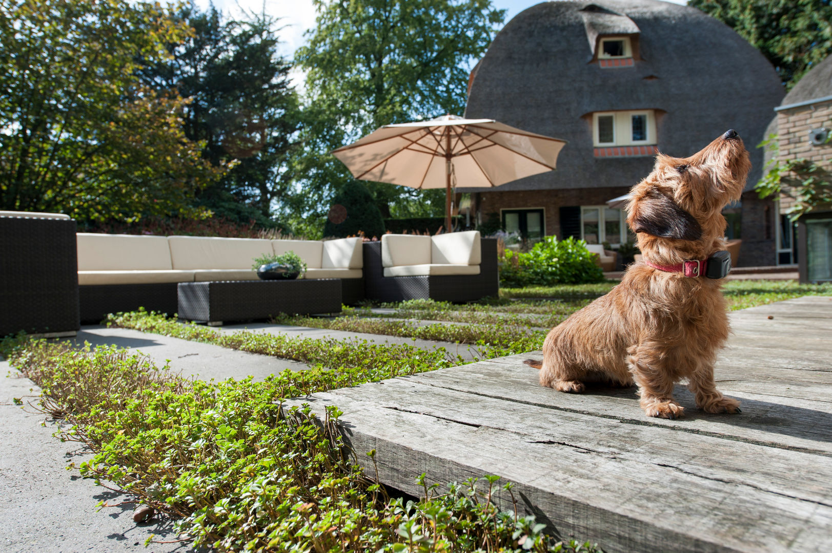 Tien jaar oude terrassentuin, Jaap Sterk Jaap Sterk Klassischer Balkon, Veranda & Terrasse Massivholz Mehrfarbig