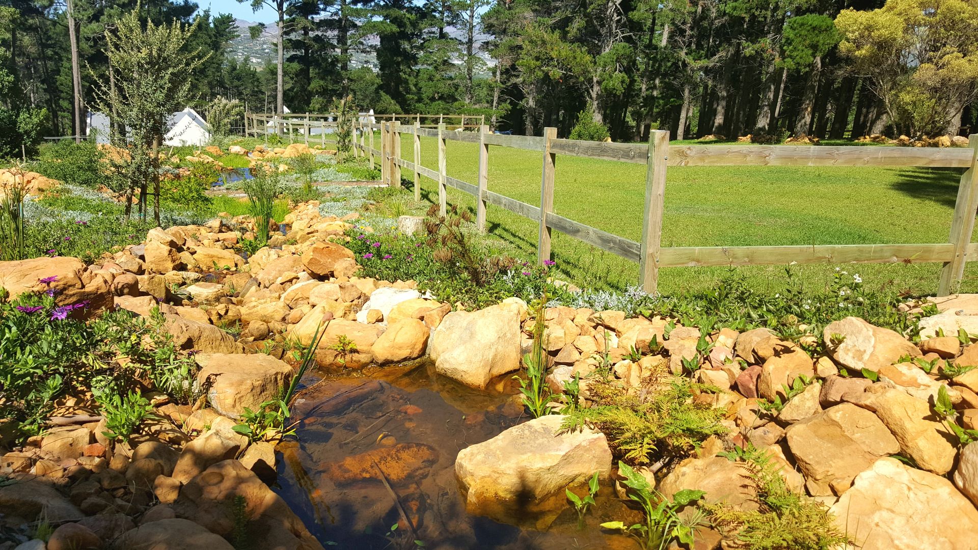 HOUSE THREE, Greenacres Cape landscaping Greenacres Cape landscaping Rustic style gardens