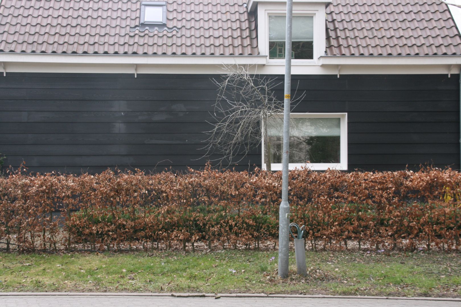 Groorland, JE-ARCHITECTEN JE-ARCHITECTEN Jardins modernos