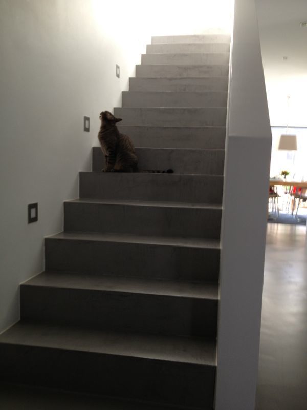 Bauhaus P 2, Carsten Krafft Die Architektur Carsten Krafft Die Architektur Modern Corridor, Hallway and Staircase