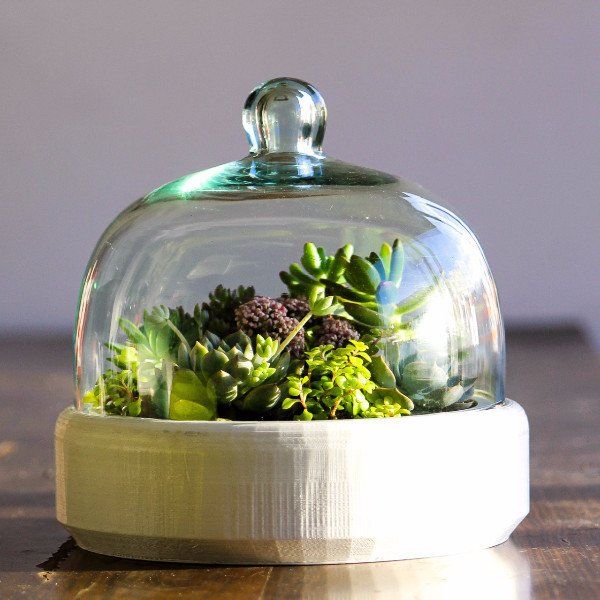 Bell Jar Marga Modern Garden Plants & accessories