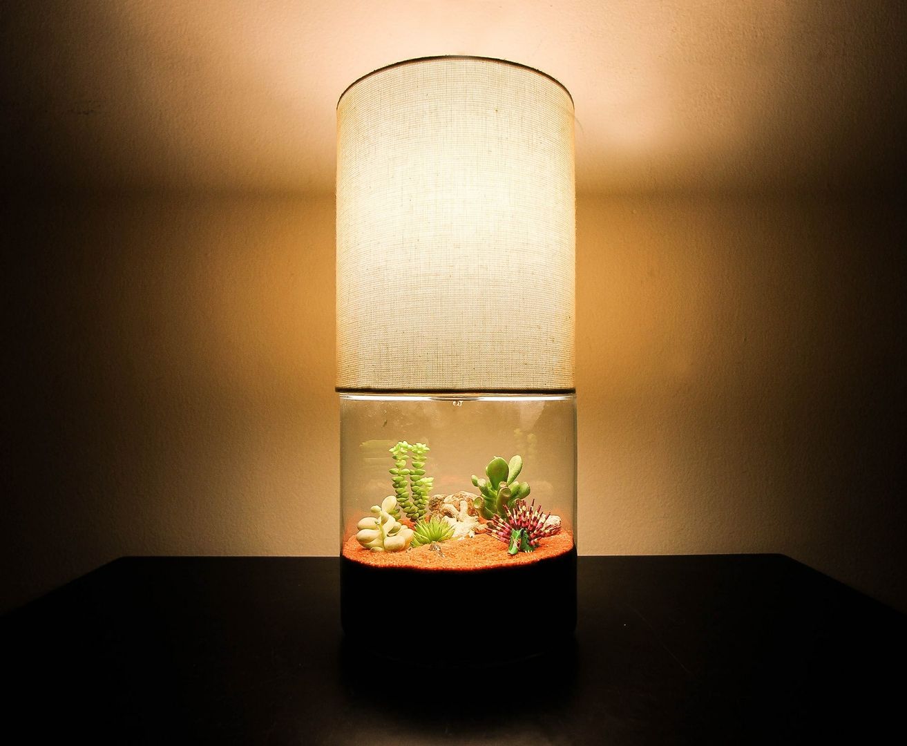 Terrarium Lamp - Large homify Jardines modernos: Ideas, imágenes y decoración Plantas de interior, maceteros y accesorios