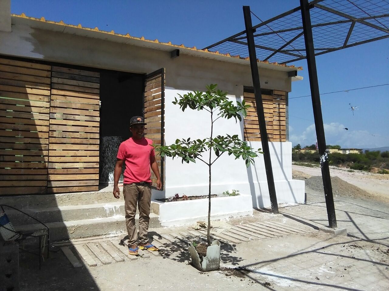 Transplantando vegetación nativa a patio interno de la vivienda Taller de Desarrollo Urbano Casas de estilo minimalista