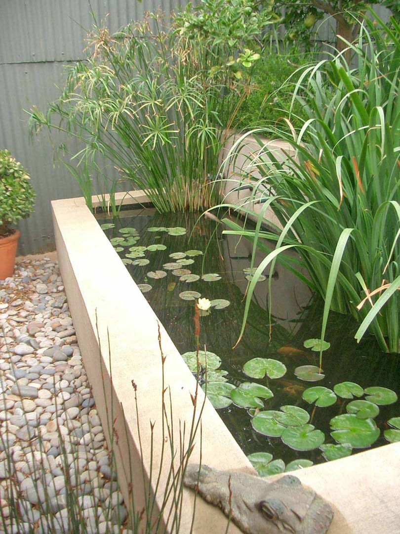 pond Till Manecke:Architect Eclectic style garden