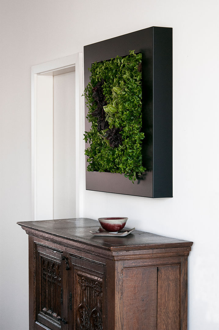 Hängende Gärten, Vertical Green Design Vertical Green Design حديقة داخلية Interior landscaping