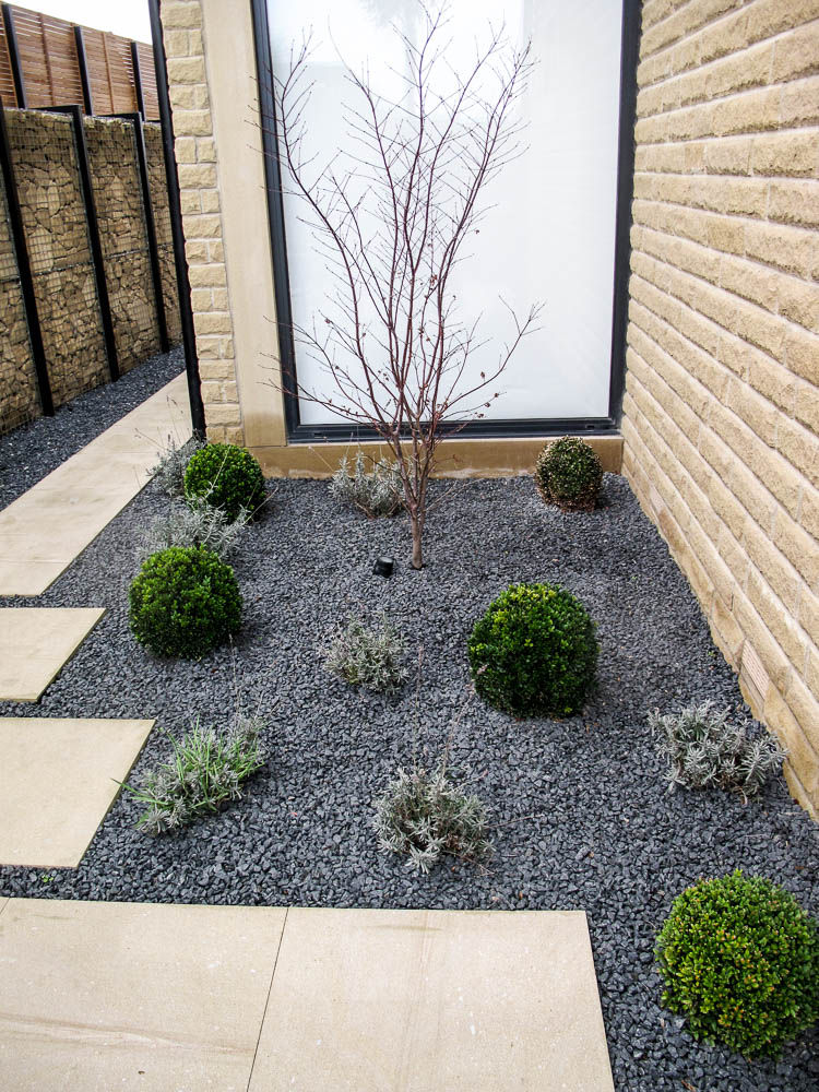 A splash of green Yorkshire Gardens Modern garden bushes,trees,gravel,path,shrubs