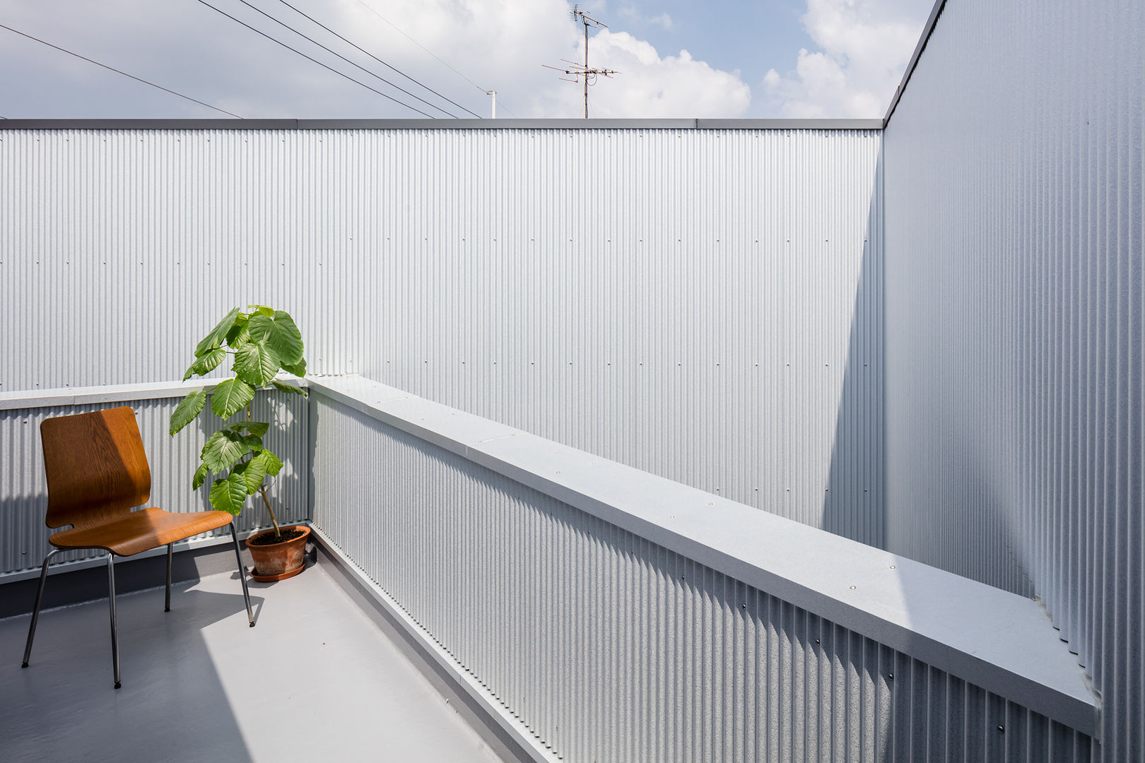 花火の見えるバルコニー 建築設計事務所SAI工房 モダンデザインの テラス 植物＆花