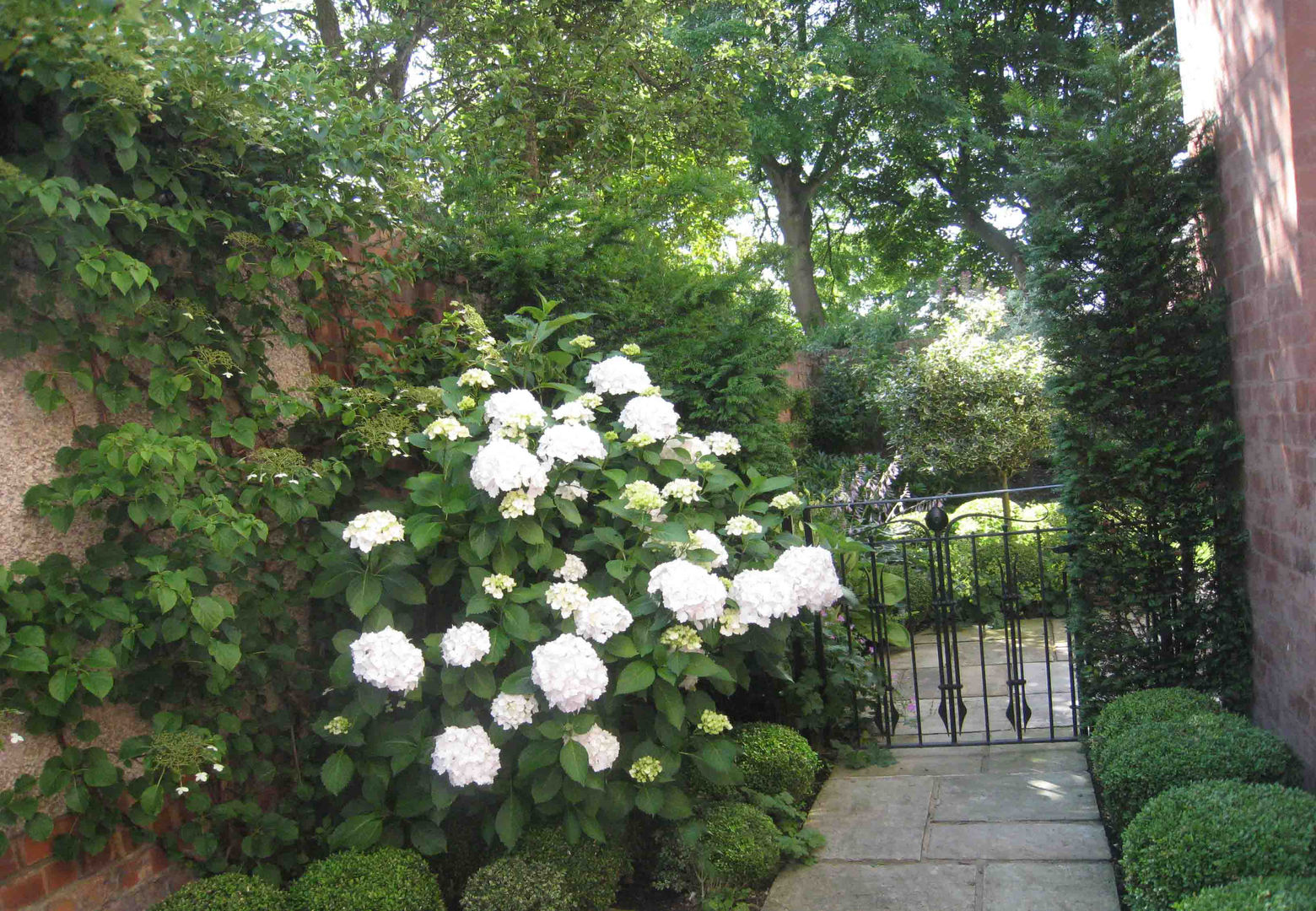 West Kirby Garden After - Side Entrance - Caroline Benedict Smith Garden Design Cheshire Caroline Benedict Smith Garden Design Cheshire