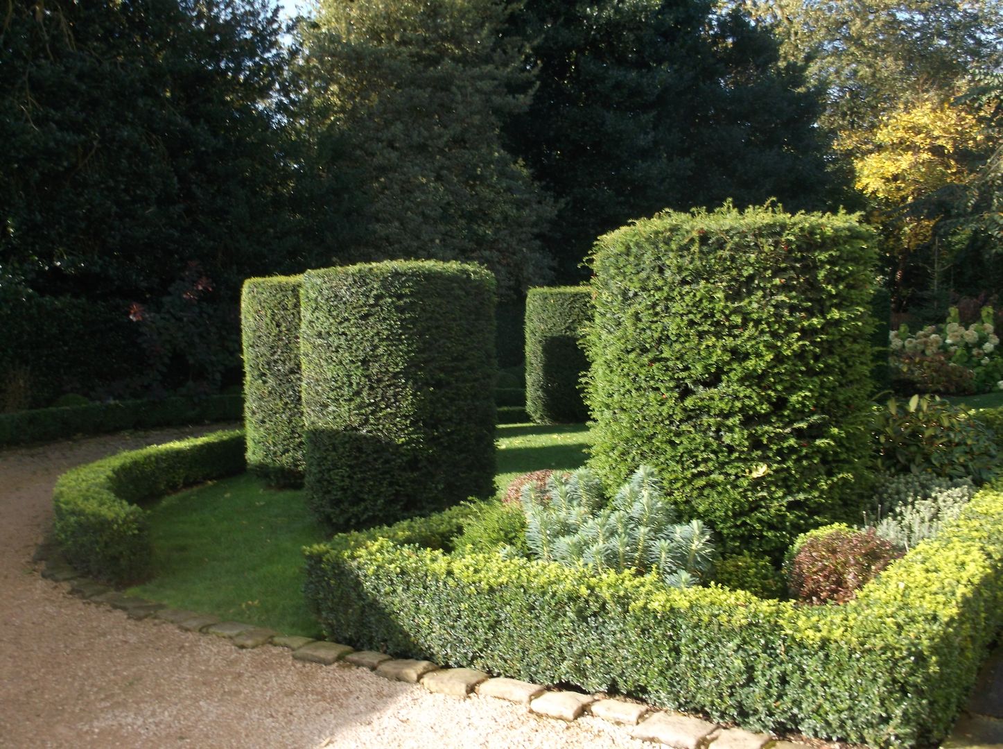 A Bowdon Garden Charlesworth Design Jardines clásicos formalgarden,frontgarden,bowdon,classical garden,yew cylinders,box balls,box hedges,front drive