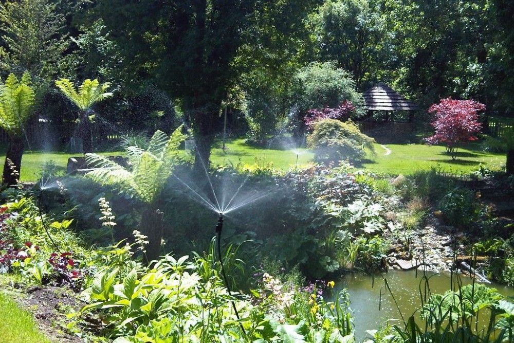 Water Gardens, Cool Gardens Landscaping Cool Gardens Landscaping garden,outdoor,planting,water