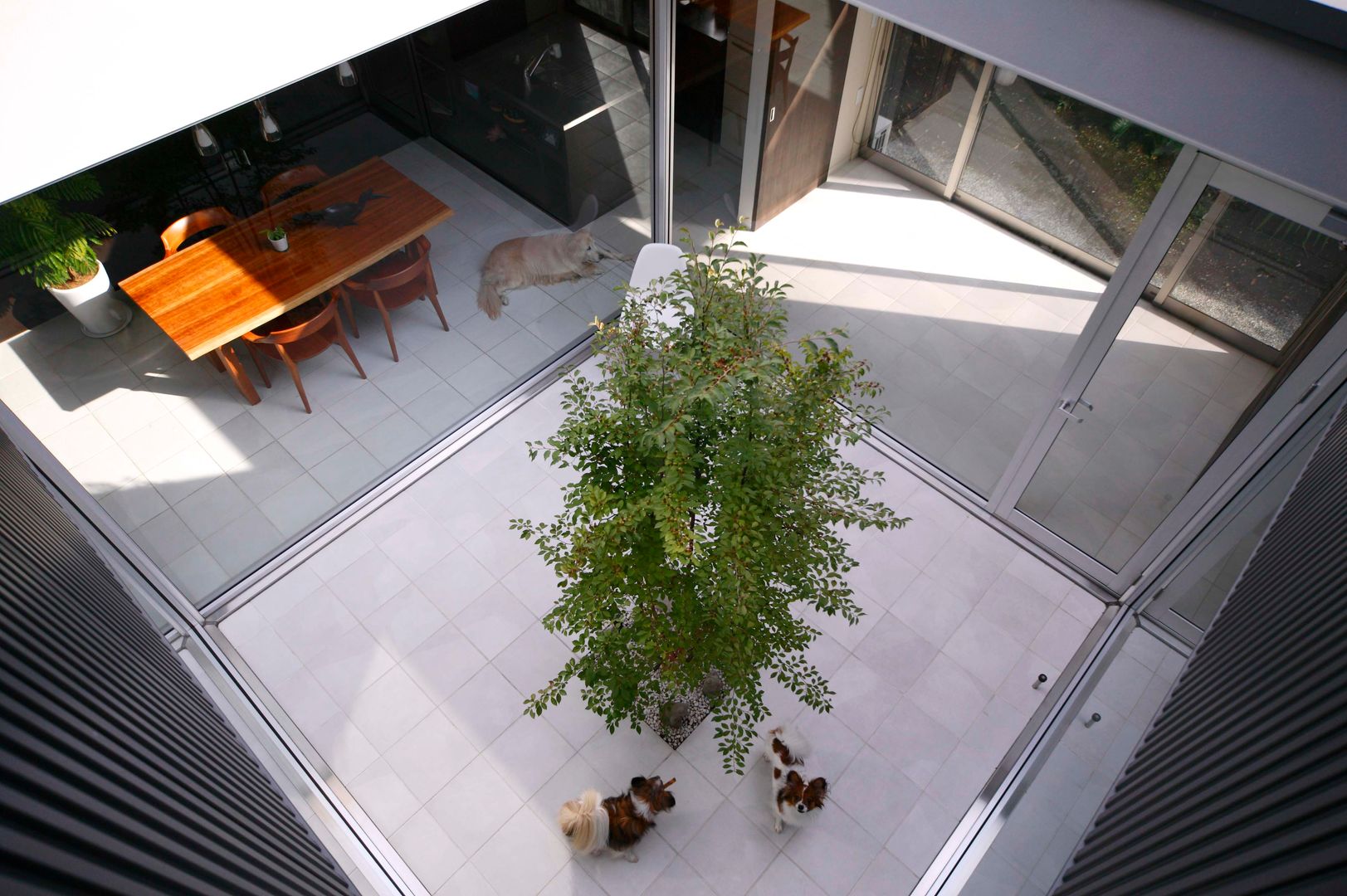 犬と暮らす中庭の家, 藤井伸介建築設計室 藤井伸介建築設計室 庭院