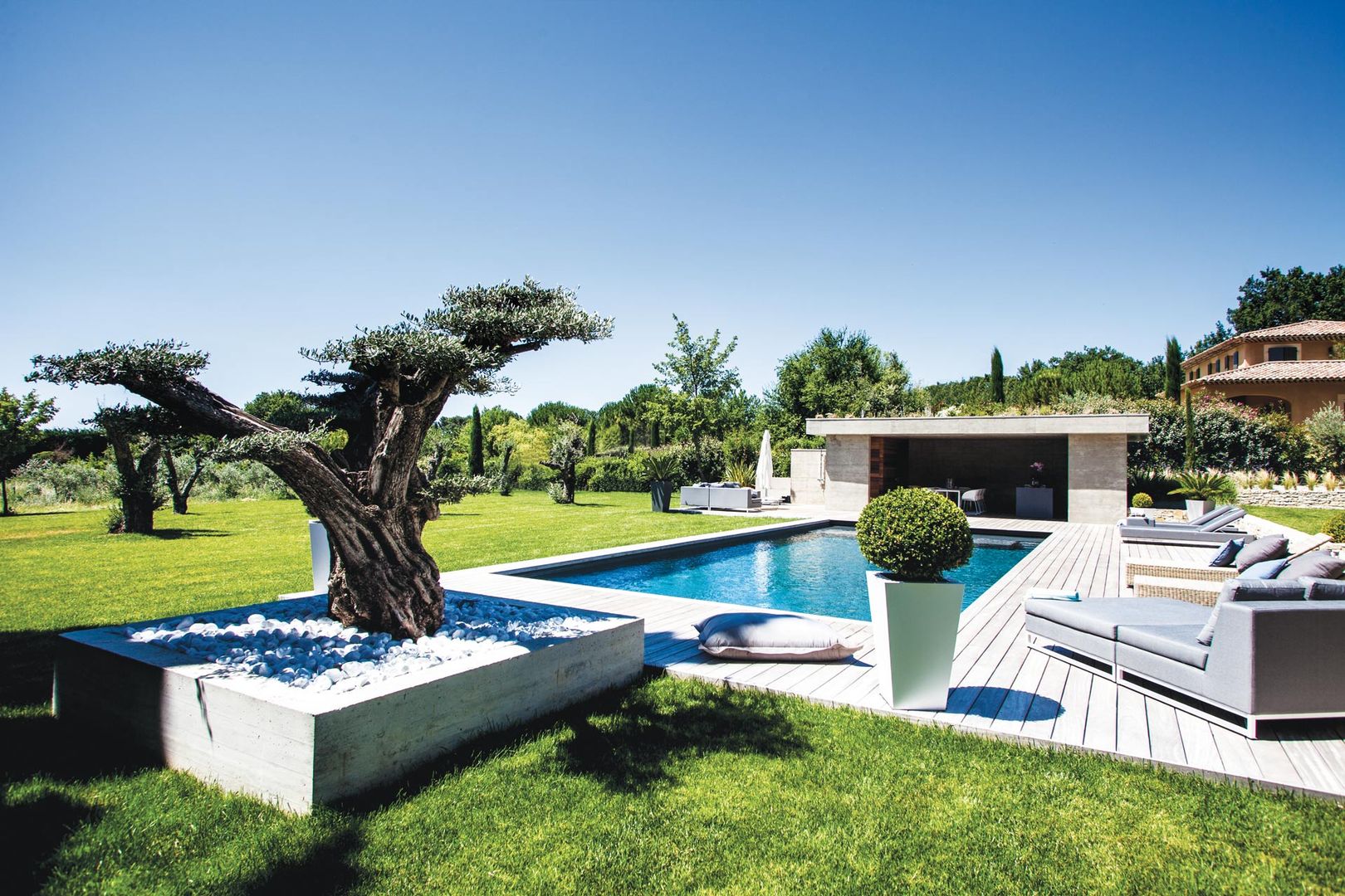 homify Jardines de estilo moderno